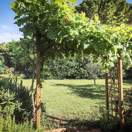 Orangeraie Du Cap D'Antibes Διαμέρισμα Εξωτερικό φωτογραφία